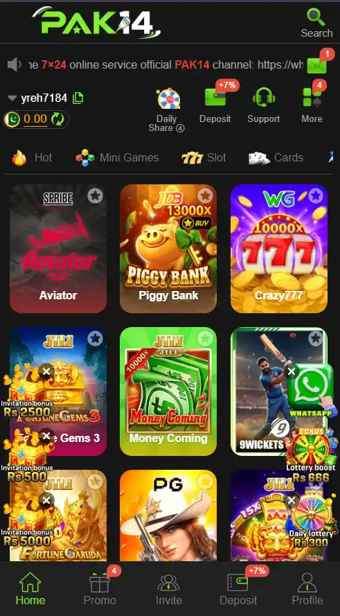 Pak14 Game